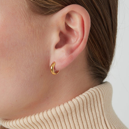 Roestvrij Stalen fijne Oorbellen