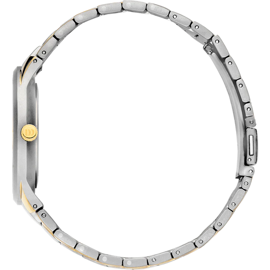 Danish Design Titanium Herenhorloge IQ65Q1275