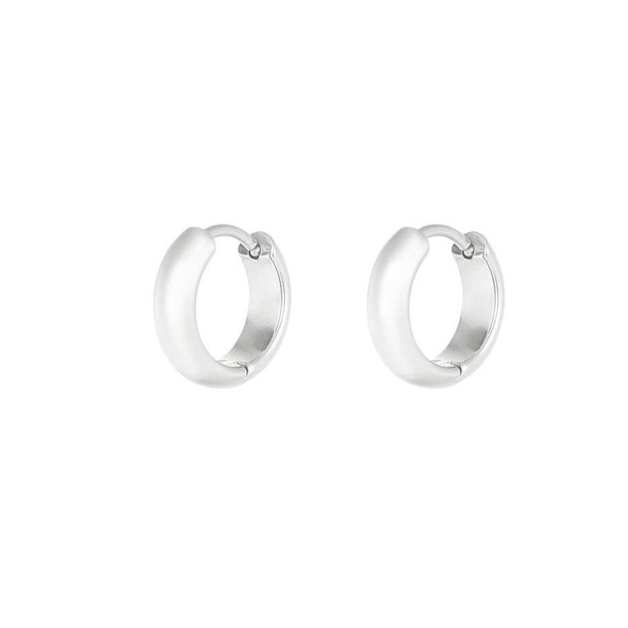 Roestvrij Stalen fijne Oorbellen