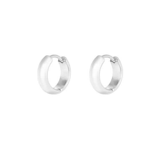 Roestvrij Stalen fijne Oorbellen