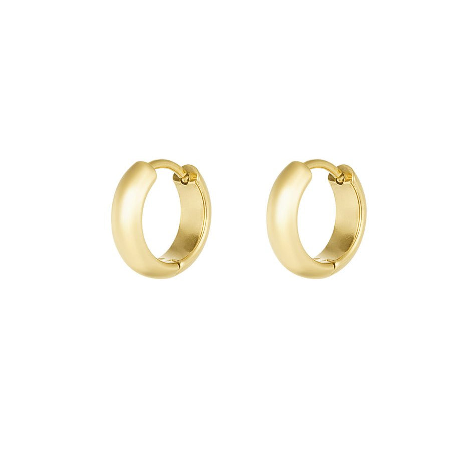 Roestvrij Stalen fijne gele Oorbellen