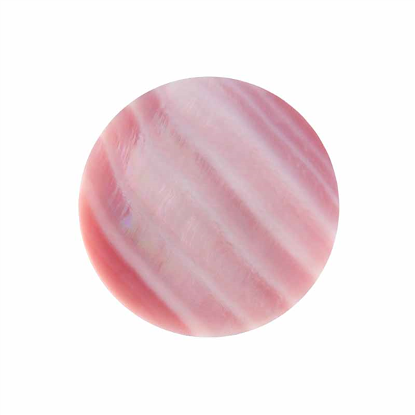 Mon insigne de coquillage imenso grande 33-1501