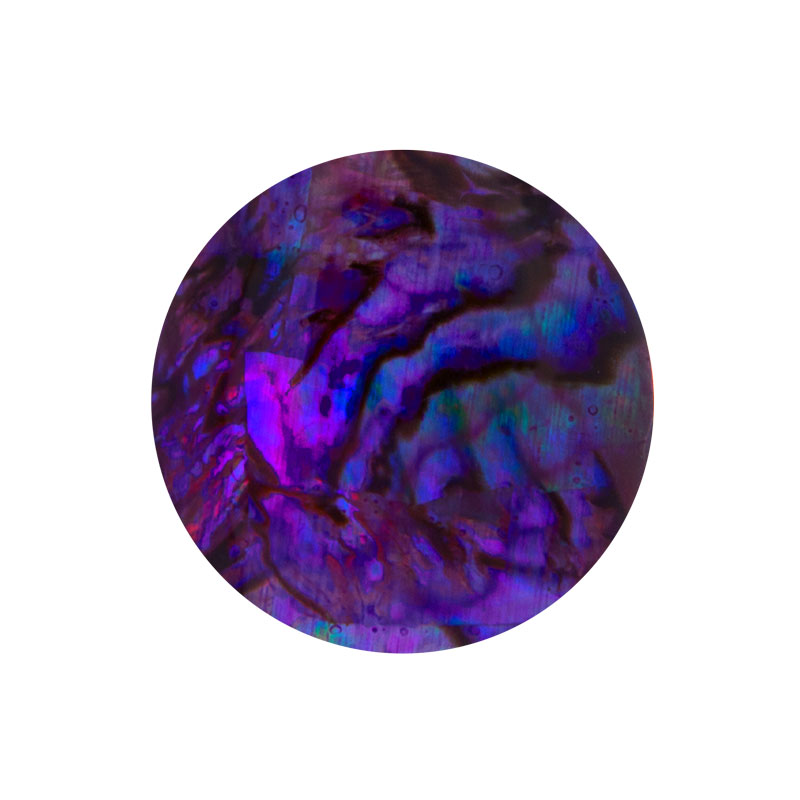 Mon insigne imenso grande abalone 33-1461