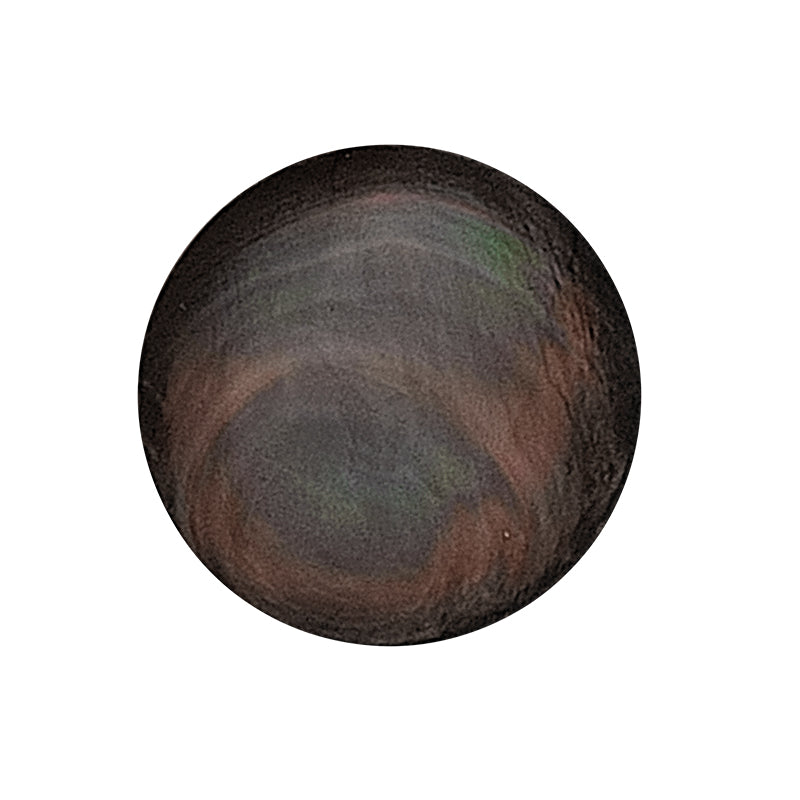 Mon insigne de coquillage imenso grande 33-2145