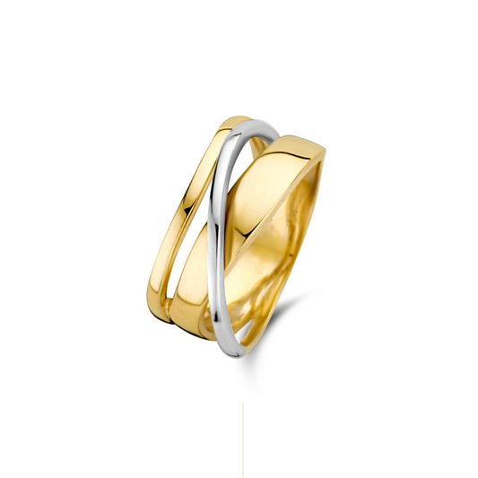 New Life ring 18kt wit-en geelgoud pepiet zonder structuur 00A194