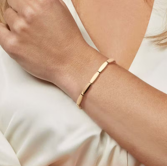 Boccia titanium armband 6/03063-03 goudkleurig