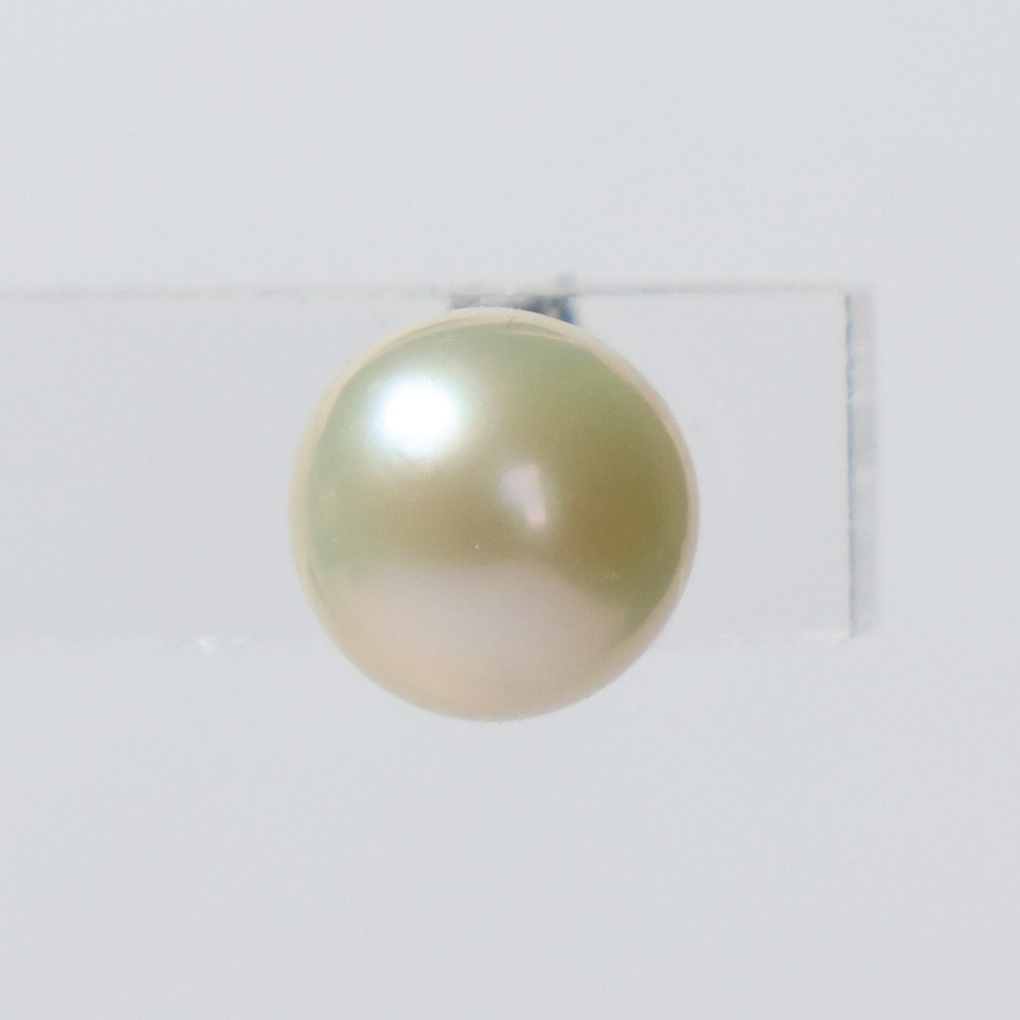 Parel oorbellen zilver witte knopjes 7mm