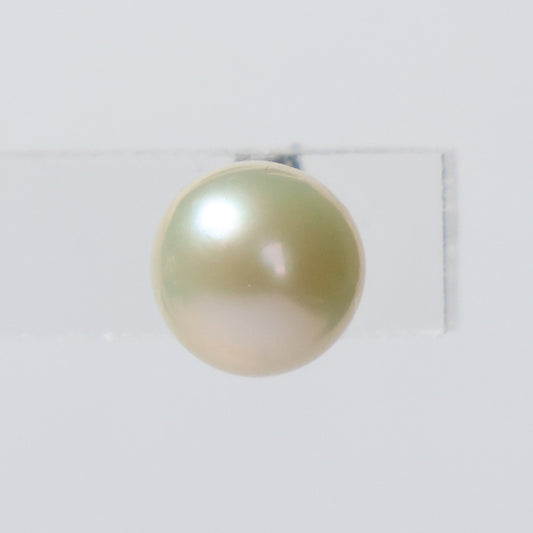 Parel oorbellen zilver witte knopjes 7mm