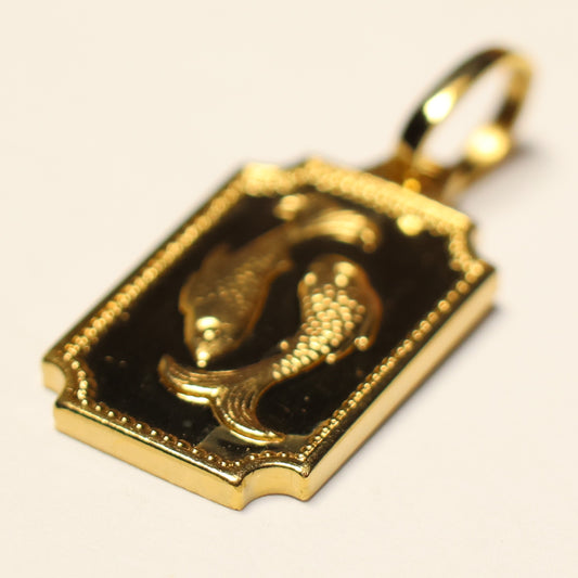 Tresor plaqué sterrenbeeld kader hanger vissen