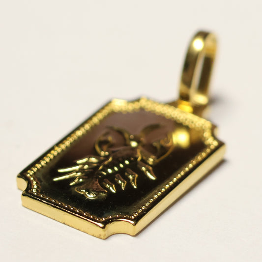 Plaqué sterrenbeeld kader hanger kreeft