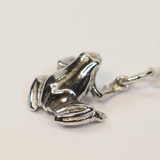 Zilveren kikker hangertje