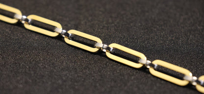 Roestvrij Stalen Armband bicolor schakels RY306a