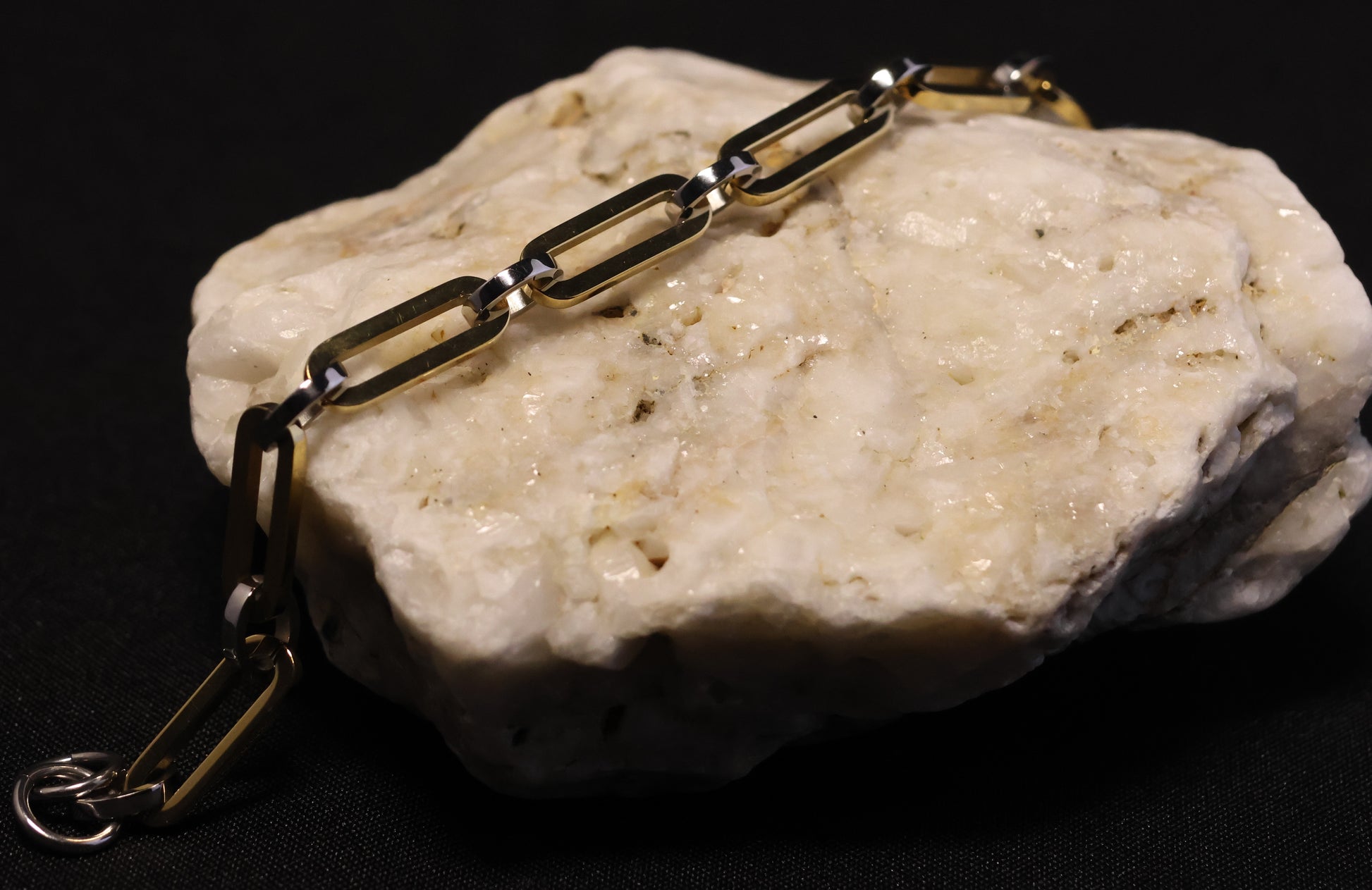 Roestvrij Stalen Armband bicolor schakels RY306a