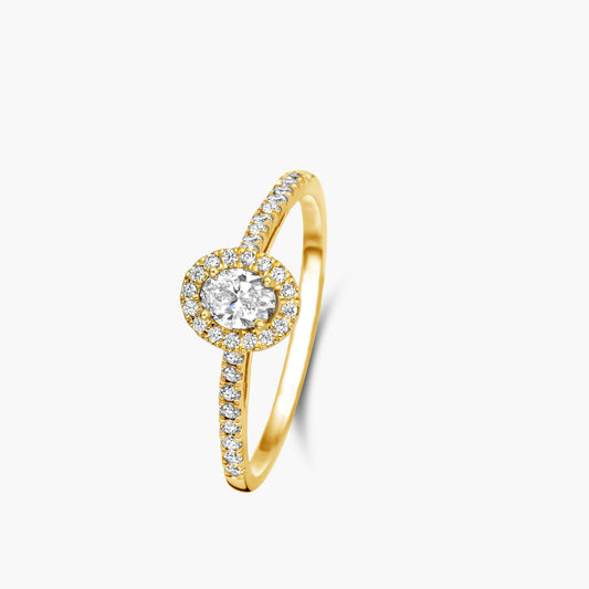 Solitaire Ring Halo Beyond geelgoud