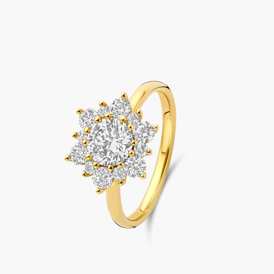 Solitaire Bloom
geelgoud