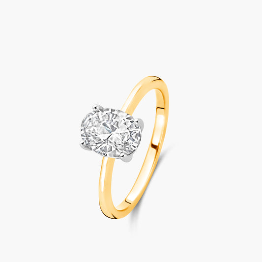 Solitaire Ring Chaton geelgoud