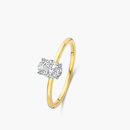 Solitaire Ring Signature geel goud