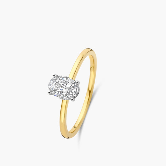 Solitaire Ring Signature geel goud