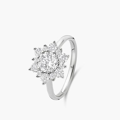 Solitaire Bloom
witgoud