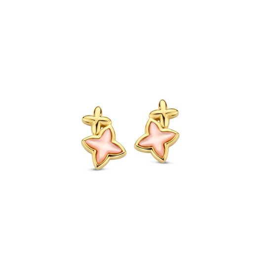 Naiomy Silver ster Oorbellen N5G53