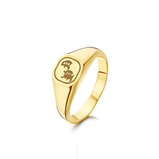 New Life zegelring 18kt pepiet cachet 0A009L