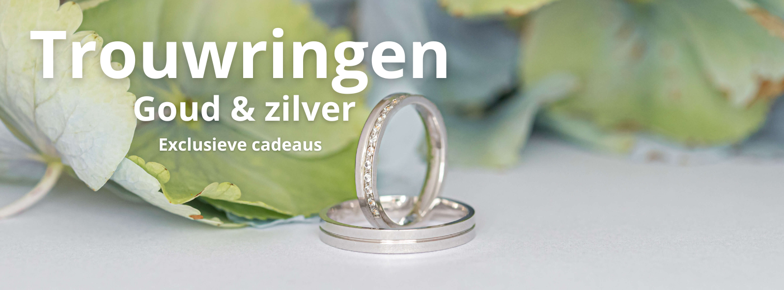 dia trouwringen met witgouden trouwringen op