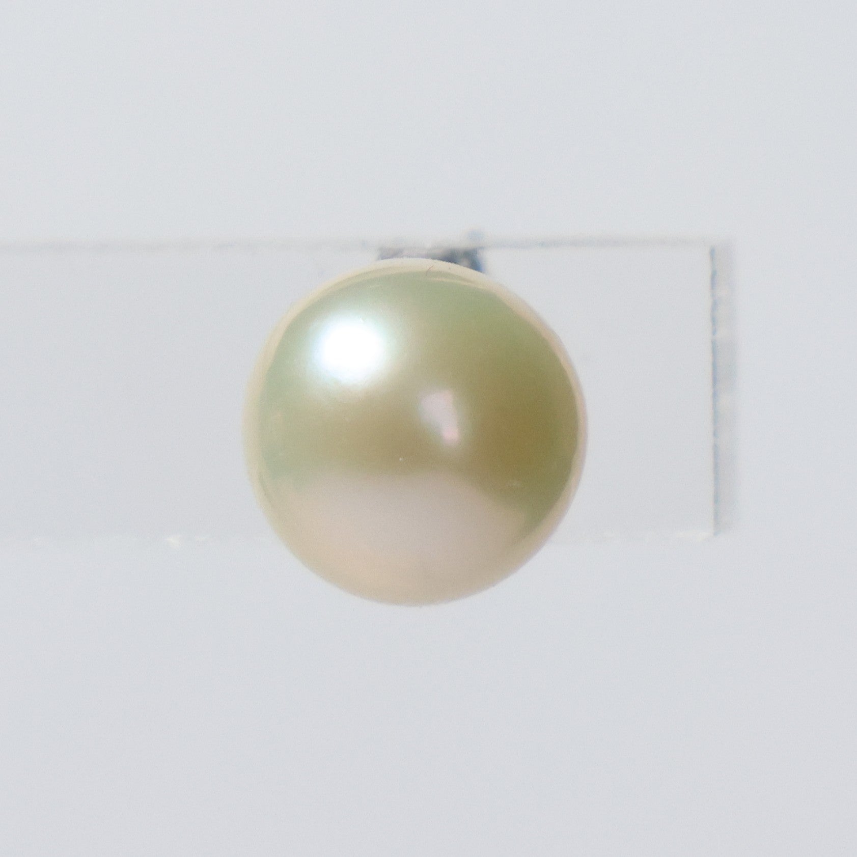 Parel oorbellen zilver witte knopjes 7mm