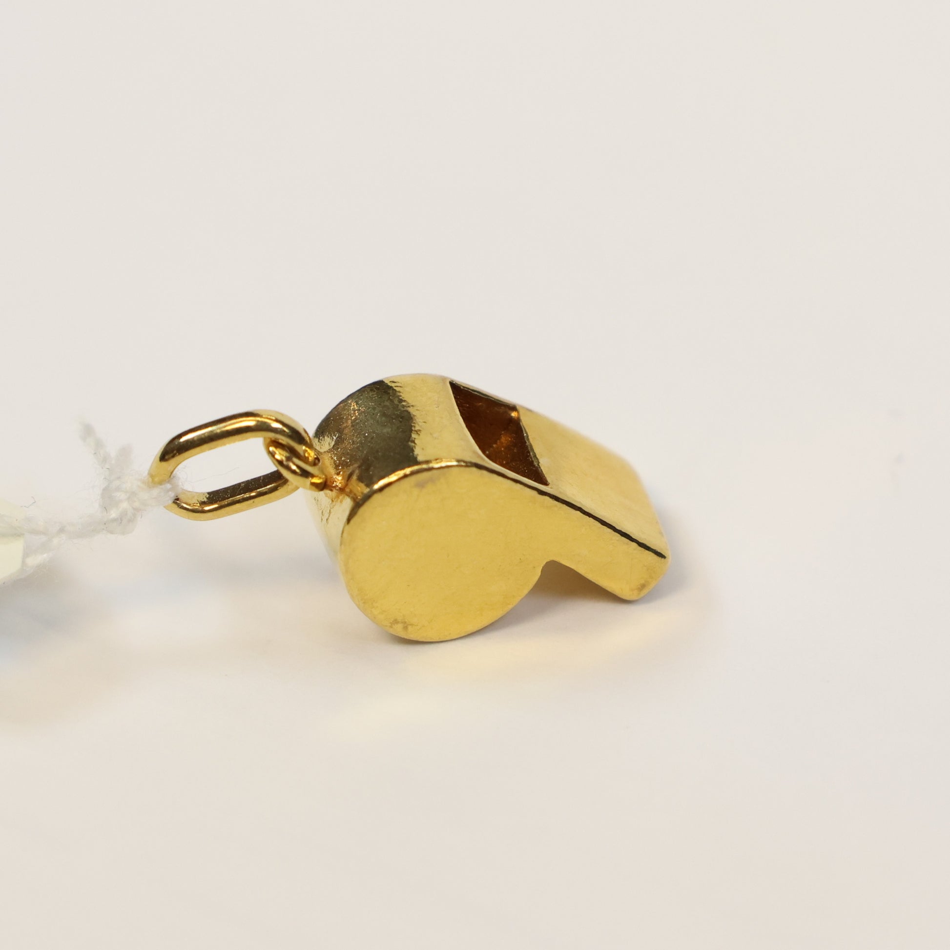 Plaqué fluitje hangertje