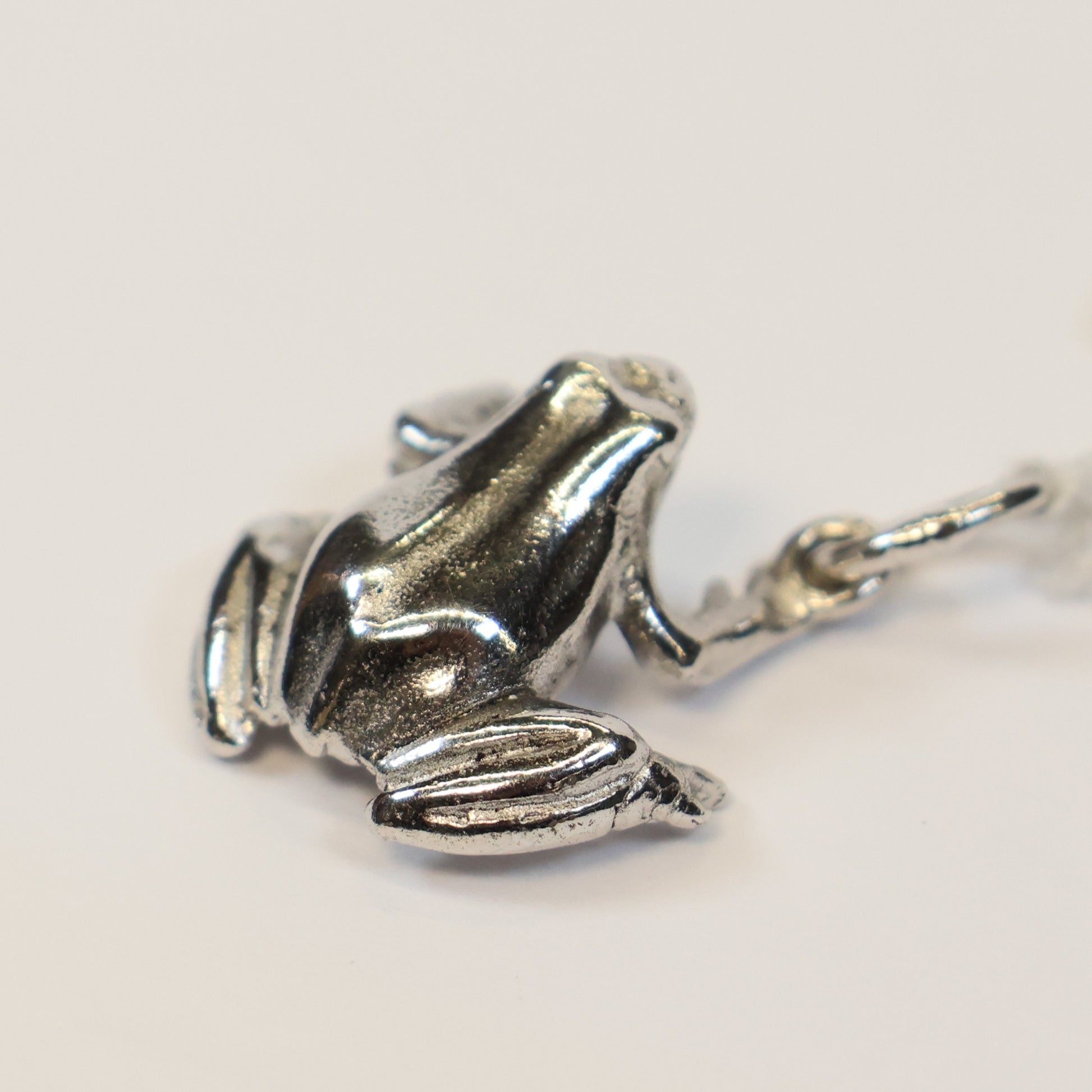 Zilveren kikker hangertje