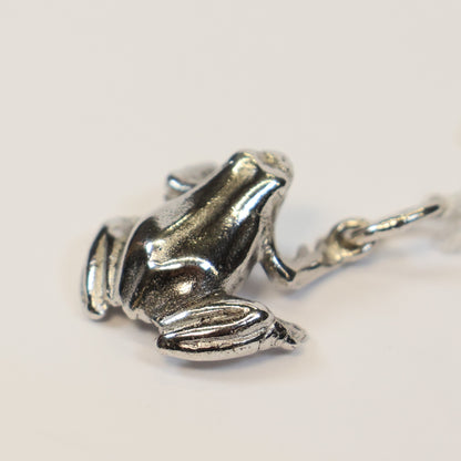 Zilveren kikker hangertje