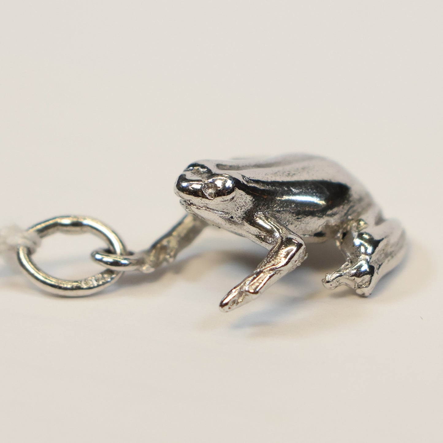 Zilveren kikker hangertje