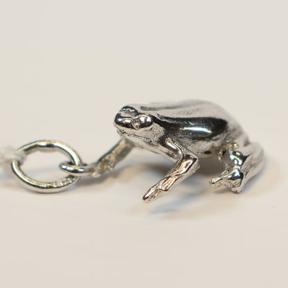 Zilveren kikker hangertje