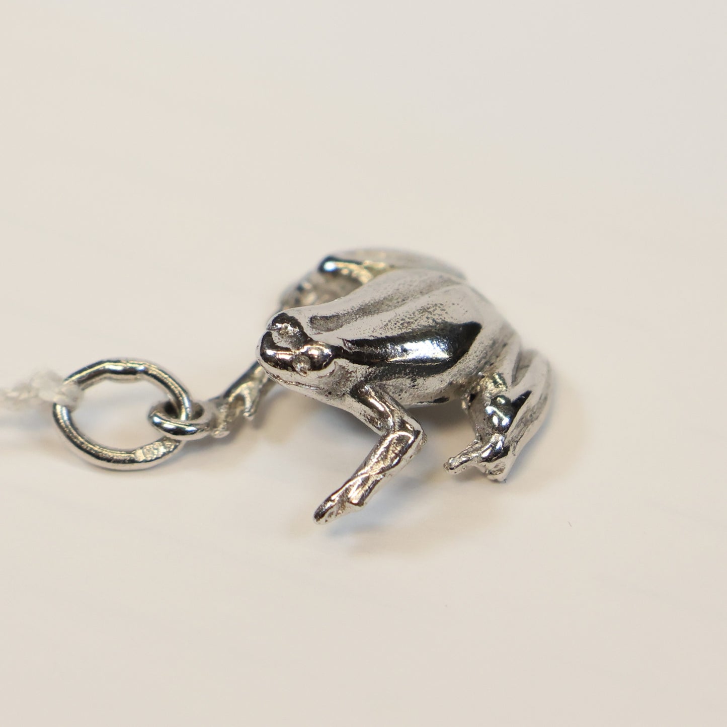 Zilveren kikker hangertje