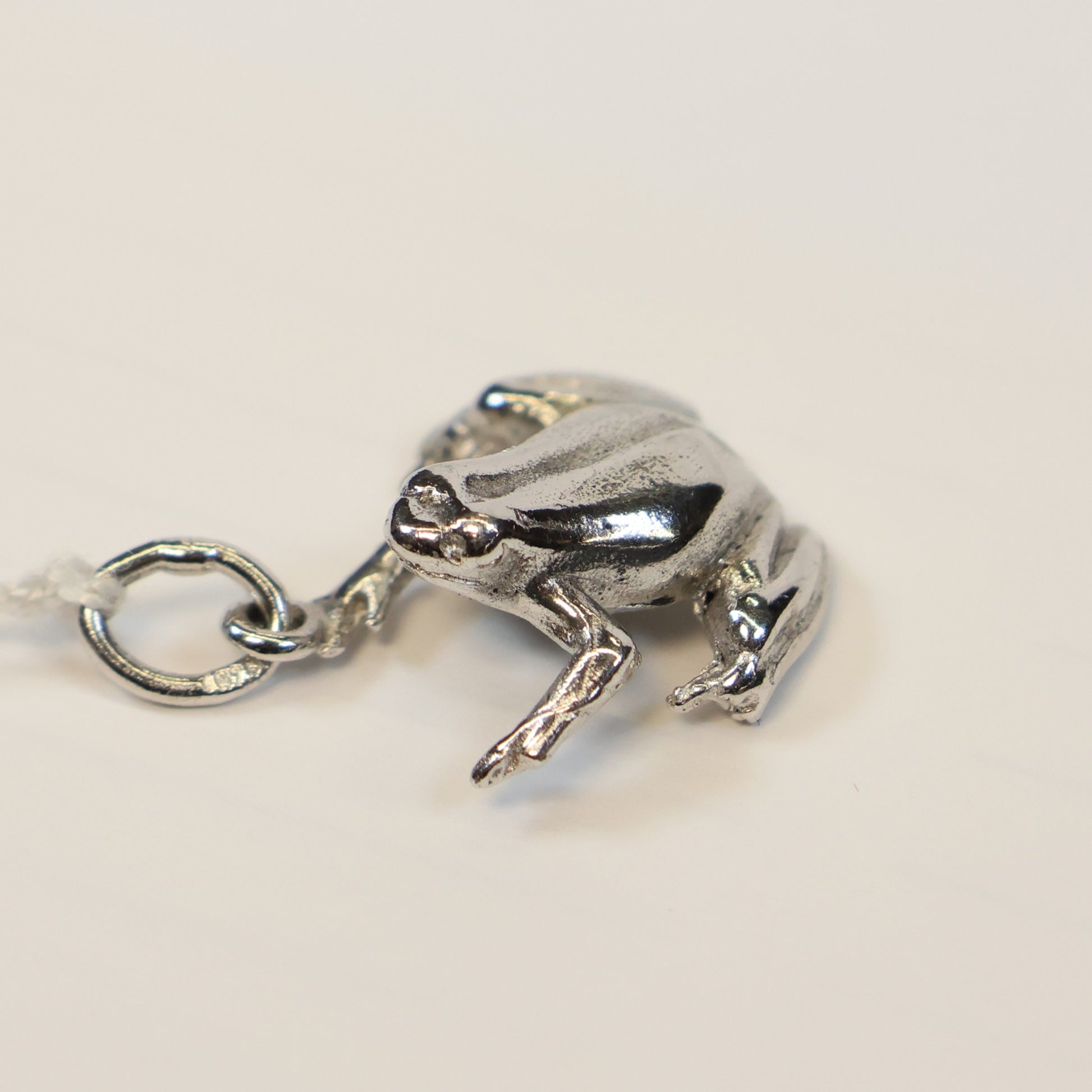 Zilveren kikker hangertje