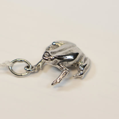Zilveren kikker hangertje