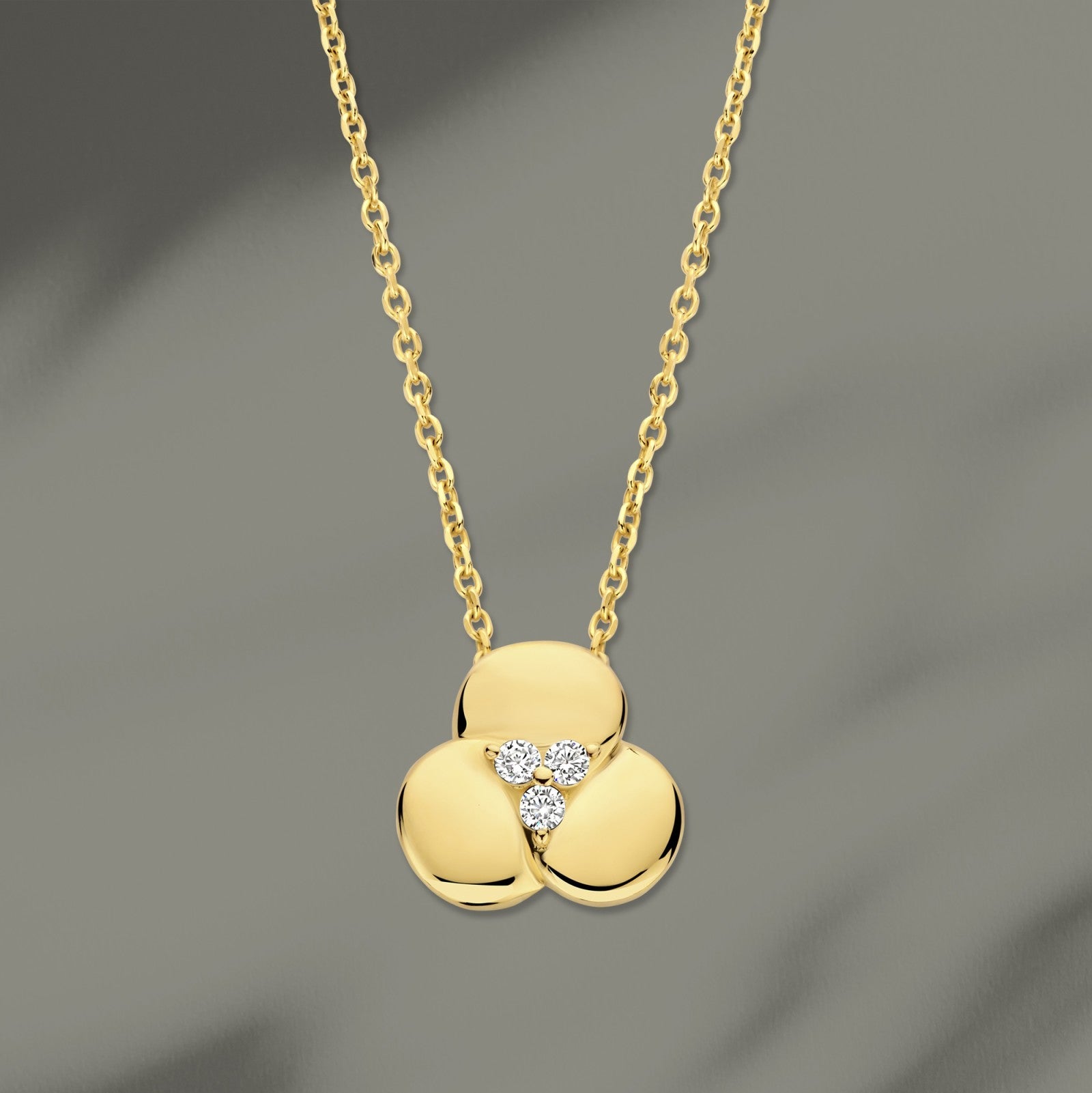 Naiomy zilveren ketting met klavertje drie hanger N5GF61